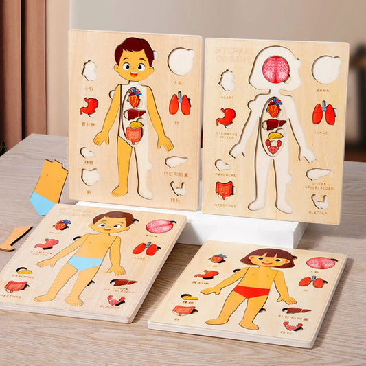 Human Body Puzzle for Kids – Montessori Learning Toy (Ages 3–6)