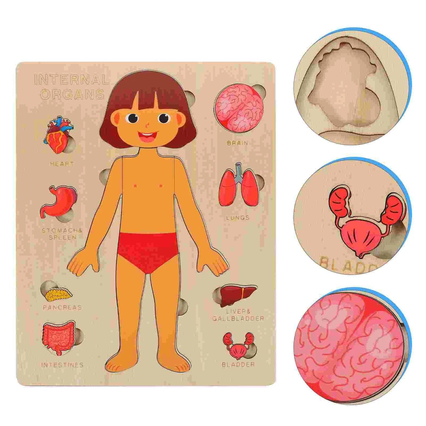Human Body Puzzle for Kids – Montessori Learning Toy (Ages 3–6)