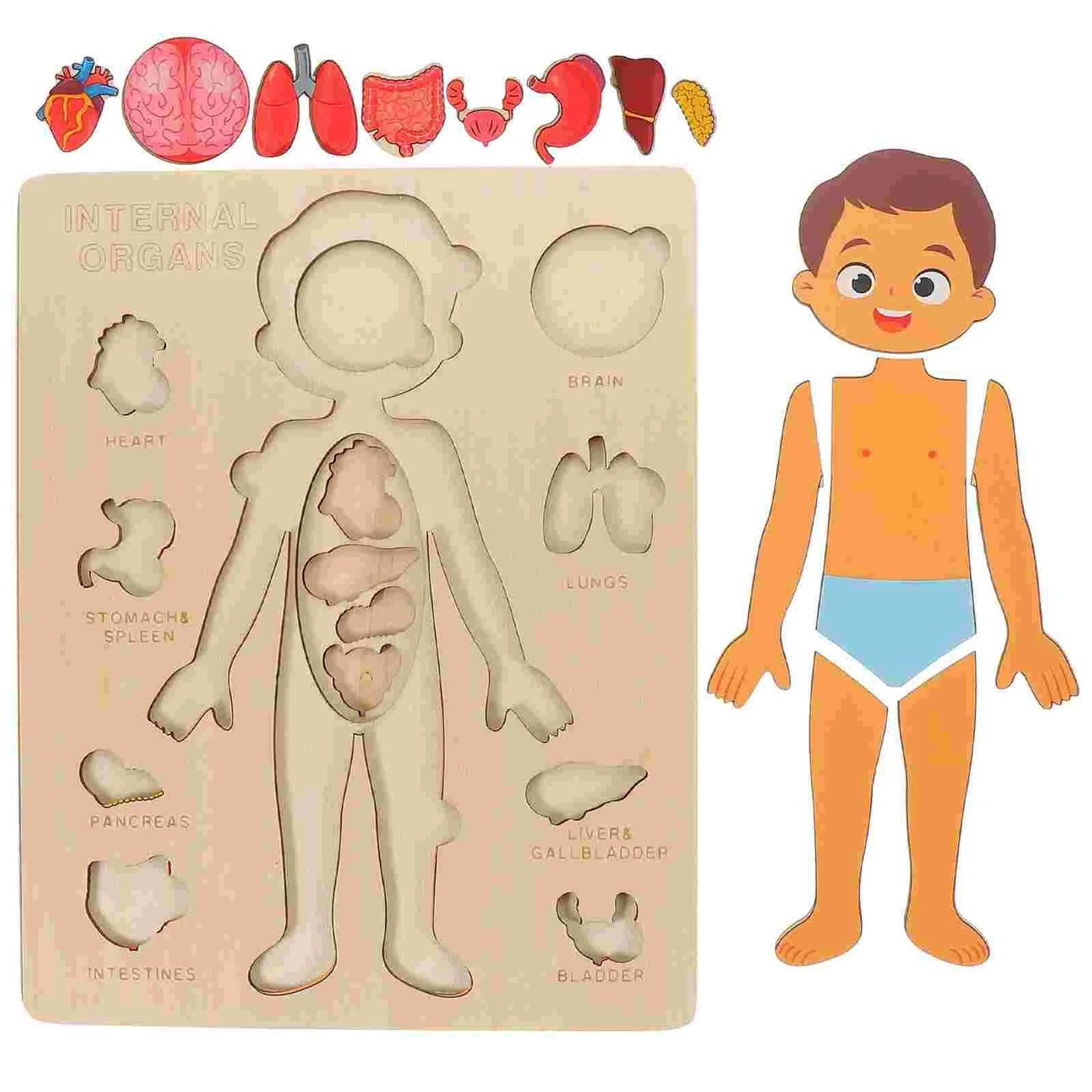 Human Body Puzzle for Kids – Montessori Learning Toy (Ages 3–6)